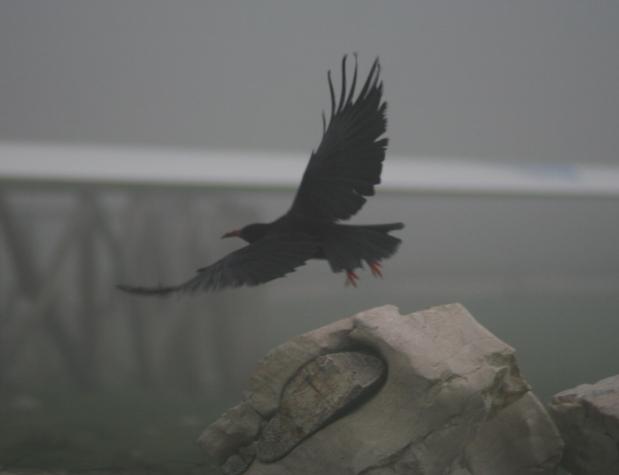 Alcune foto inequivocabili ... altre meno!